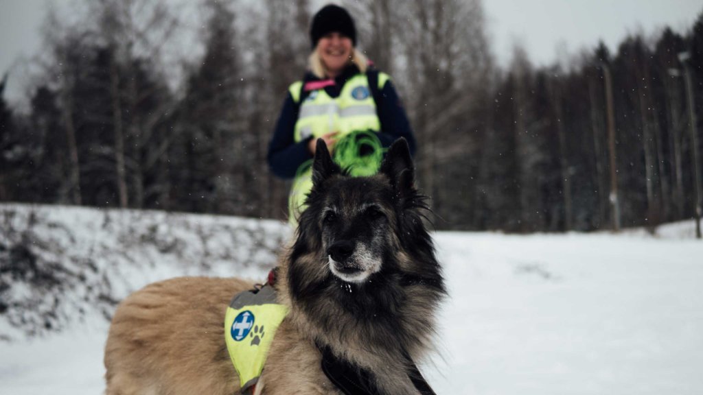 Koira kuvan edessä katsoo horisonttiin. Koiran takana nainen hymyilee kameralle.