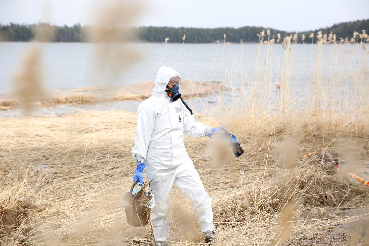 Öljytorjunta, WWF Pinja Silvonen